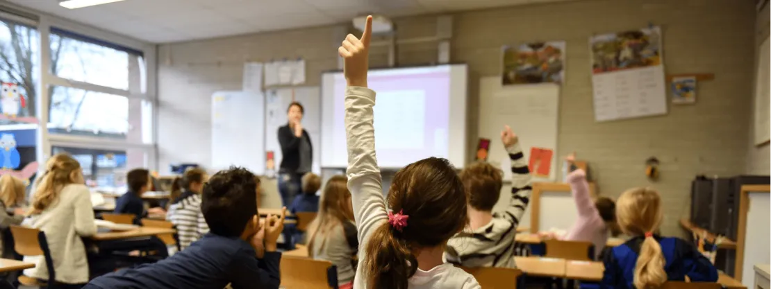 OwlRight studio języków obcych i kreatywności